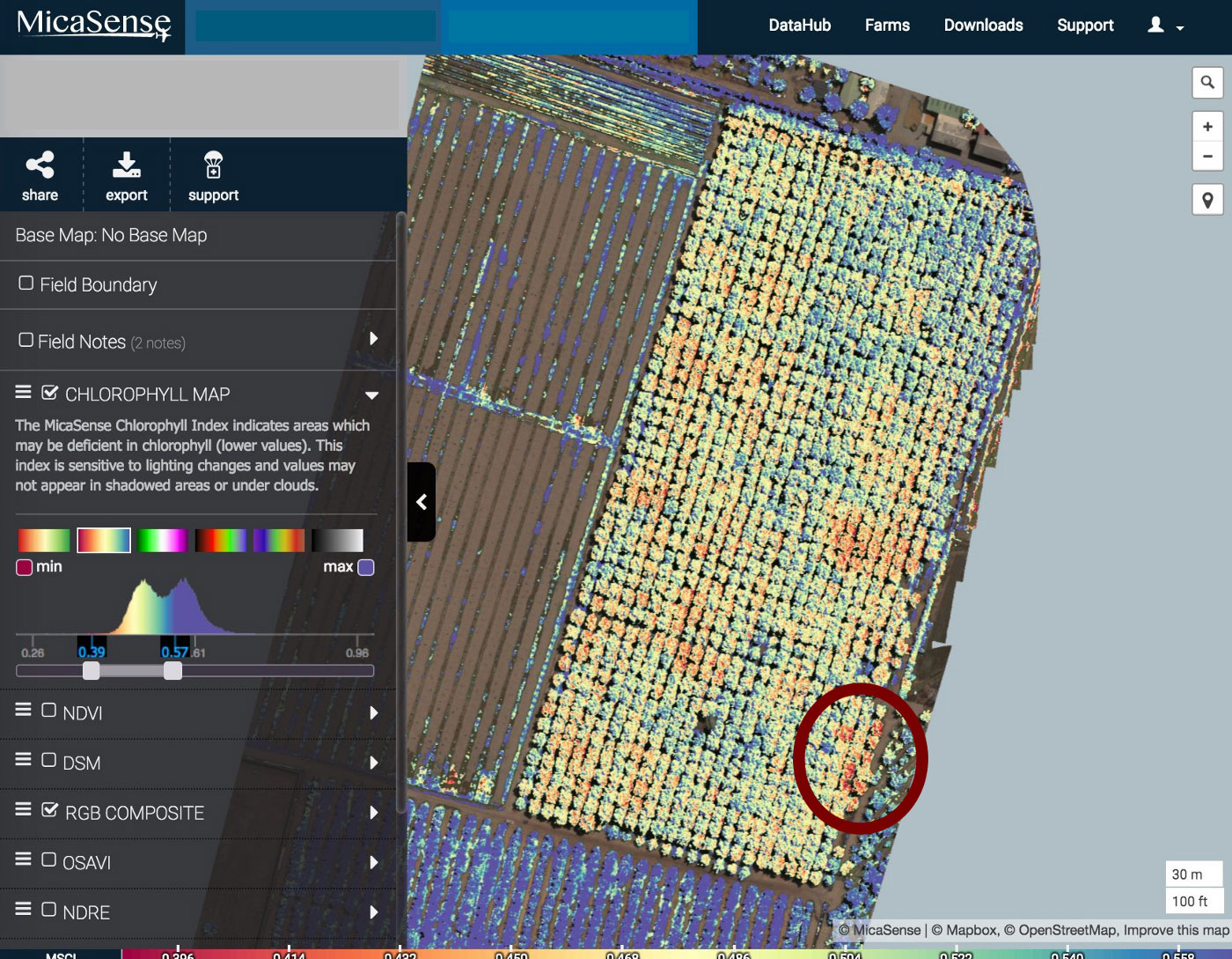 Manejo de la pudrición de la raíz